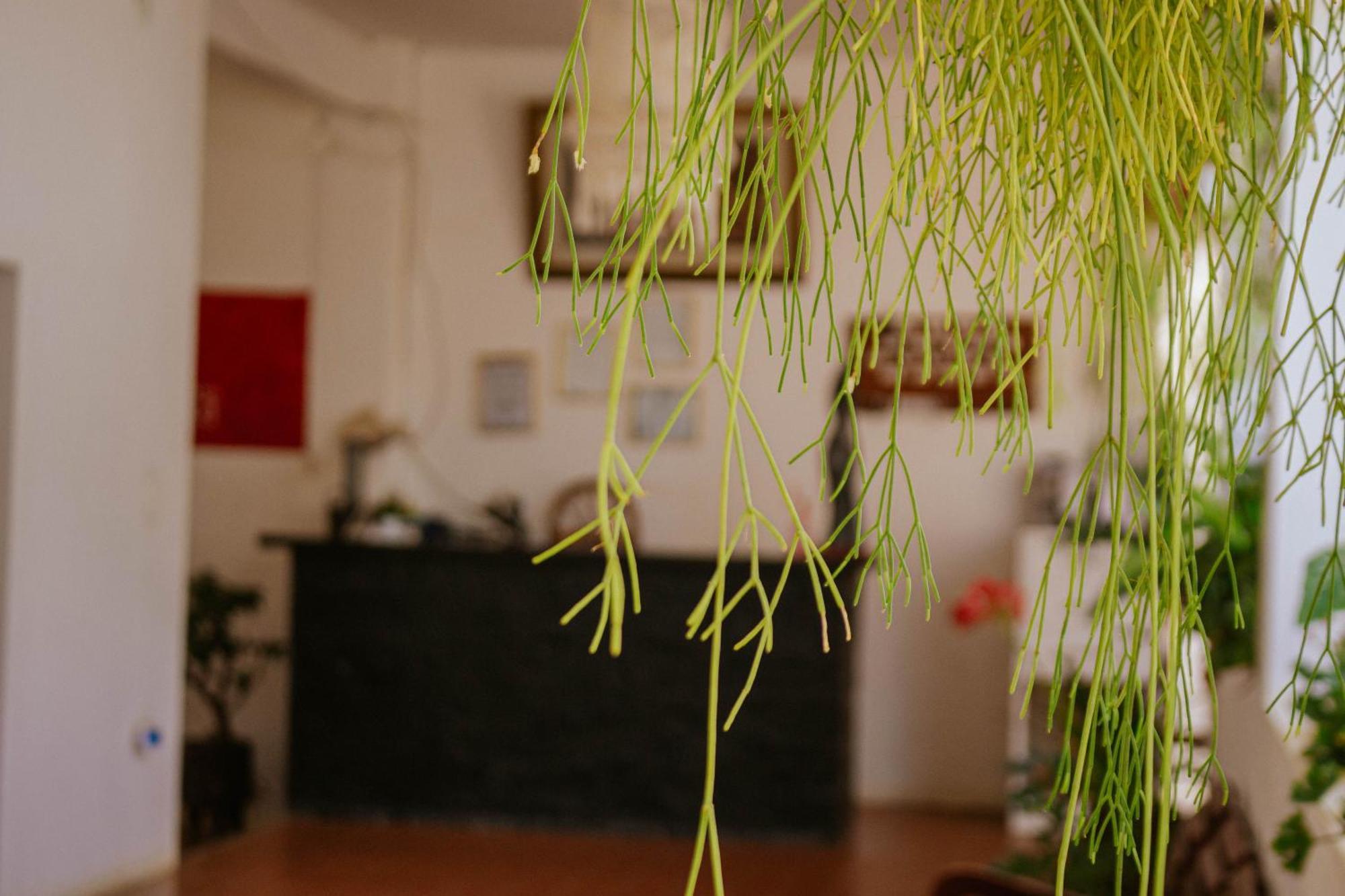 סמאיפאטה Hotel Casablanca מראה חיצוני תמונה