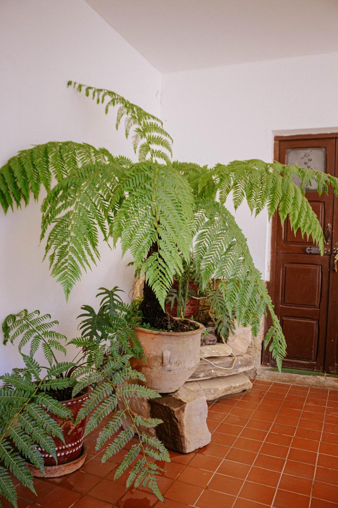 סמאיפאטה Hotel Casablanca מראה חיצוני תמונה